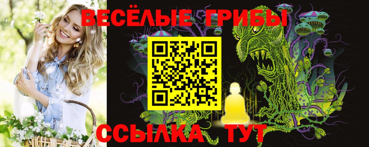 Галлюциногенные грибы Psilocybine cubensis Татарск